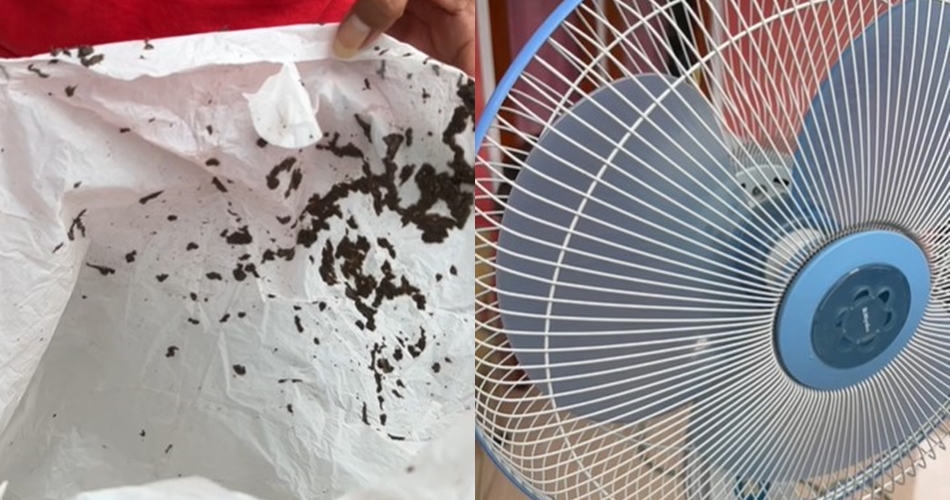 Cuma 5 menit, ini cara bersihkan debu kipas angin meski tak dibongkar, andalkan 1 bahan dapur