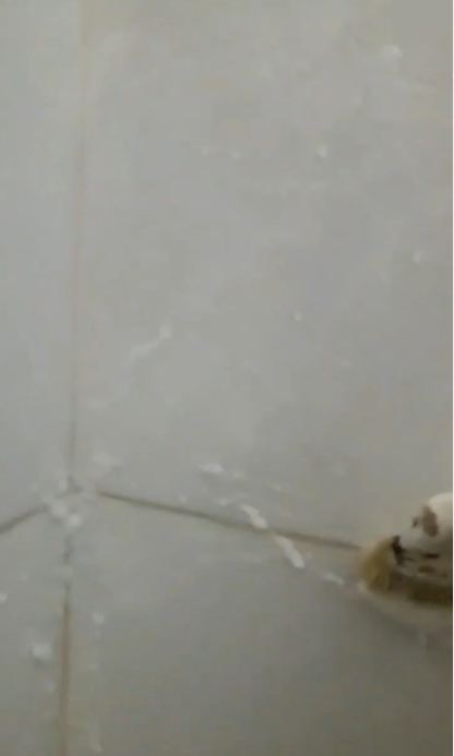 Bersih dalam 15 menit, ini trik hilangkan kerak kuning di nat keramik kamar mandi pakai 1 bahan dapur