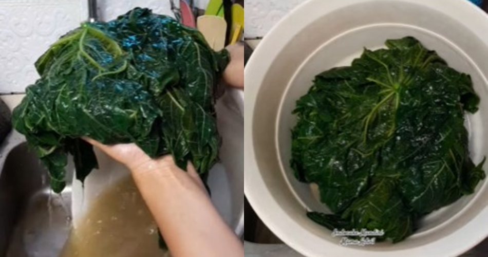 Tanpa dicampur garam atau asam jawa, ini trik rebus daun pepaya agar tak pahit pakai 1 bahan sederhana
