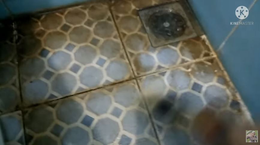 Bukan baking soda, emak-emak bersihkan noda kuning lantai kamar mandi ini ampuh pakai tambahan 1 bahan