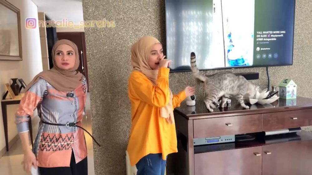 rumah bebi romeo dan meisya siregar © 2024 YouTube rumah bebi romeo dan meisya siregar © 2024 YouTube