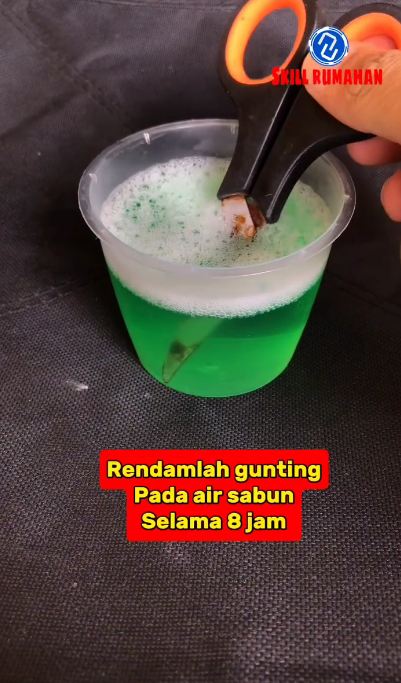 Cukup pakai 1 bahan dapur, ini trik sederhana agar gunting tumpul dan karatan jadi setajam silet