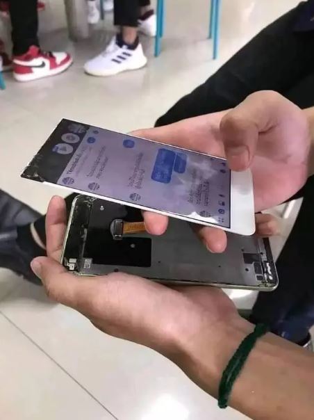 Potret kocak momen apes saat main handphone Berbagai sumber