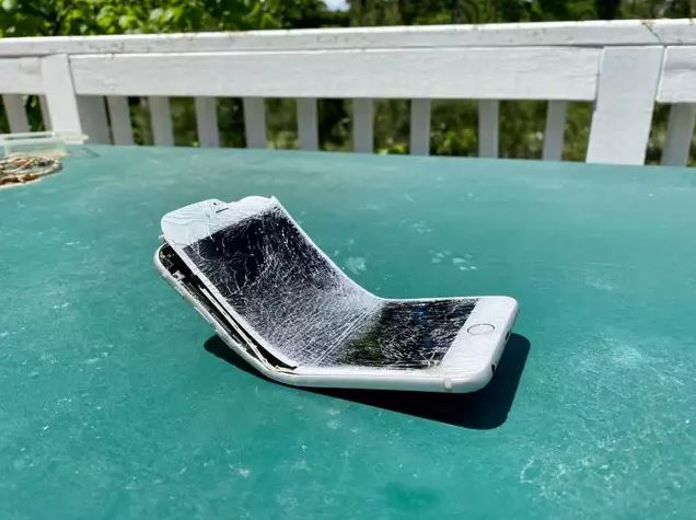 Potret kocak momen apes saat main handphone Berbagai sumber