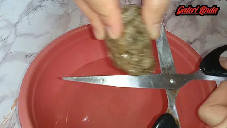 Tanpa direndam cuka, ini trik atasi gunting karatan dan tumpul jadi tajam lagi ditambah 1 bahan dapur