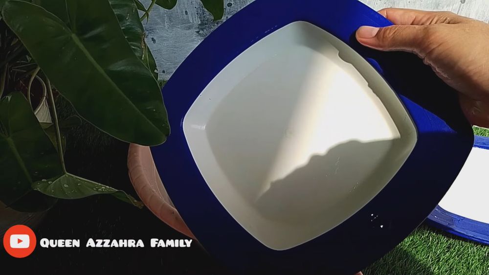 Tak perlu digosok langsung luntur, ini trik hilangkan kerak di piring pakai tambahan 1 bahan dapur