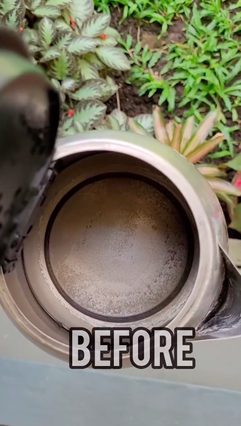 Bukan digosok baking soda, cara emak-emak menghilangkan kerak di teko ini ampuh pakai 1 jenis buah