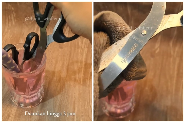 Tanpa diamplas, begini trik praktis perbaiki gunting tumpul dan karatan agar cepat tajam
