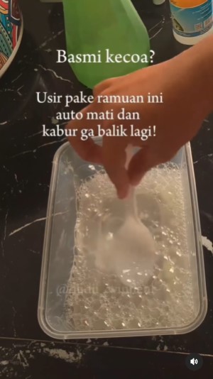 Bukan meletakkan kapur barus, ini trik agar kamar mandi bebas kecoak cukup tambah 2 bahan dapur