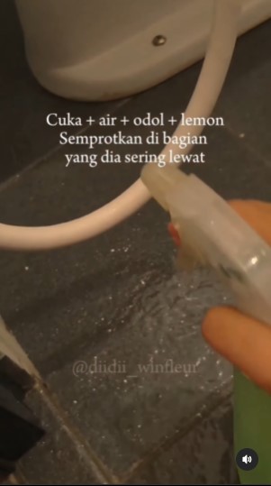 Bukan meletakkan kapur barus, ini trik agar kamar mandi bebas kecoak cukup tambah 2 bahan dapur