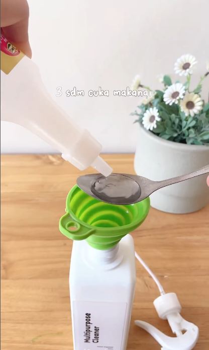 Trik mengusir cicak ini ampuh dan cepat tanpa bikin perangkap, cukup pakai 2 bahan dapur