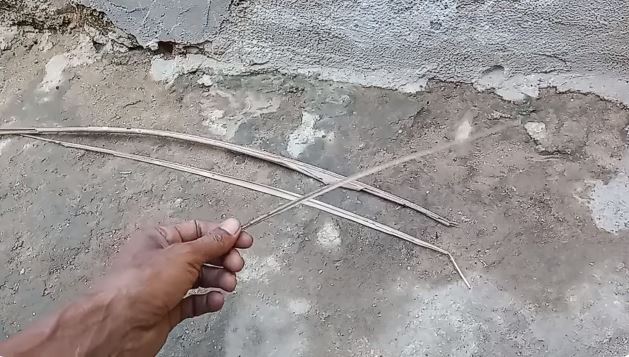 Tanpa buat jebakan, ini cara ampuh menangkap cicak cuma pakai 1 bumbu dapur