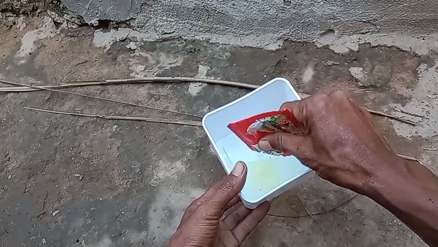 Tanpa buat jebakan, ini cara ampuh menangkap cicak cuma pakai 1 bumbu dapur