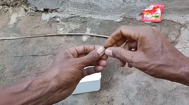 Tanpa buat jebakan, ini cara ampuh menangkap cicak cuma pakai 1 bumbu dapur