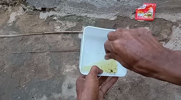 Tanpa buat jebakan, ini cara ampuh menangkap cicak cuma pakai 1 bumbu dapur
