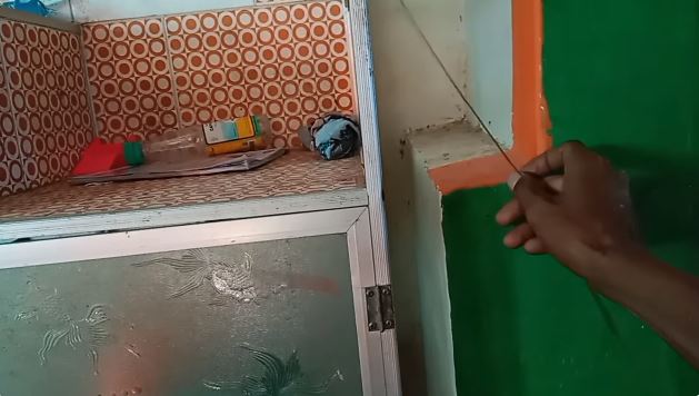 Tanpa buat jebakan, ini cara ampuh menangkap cicak cuma pakai 1 bumbu dapur