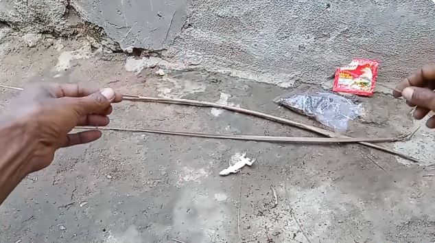 Tanpa buat jebakan, ini cara ampuh menangkap cicak cuma pakai 1 bumbu dapur