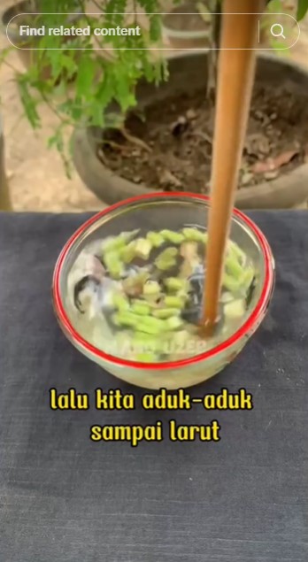 Tak keluarkan bau asap menyengat, ini trik bikin obat nyamuk sederhana dan ampuh modal 1 bahan dapur