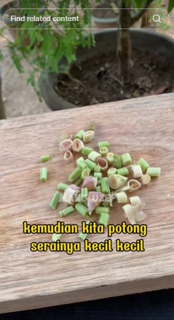 Tak keluarkan bau asap menyengat, ini trik bikin obat nyamuk sederhana dan ampuh modal 1 bahan dapur