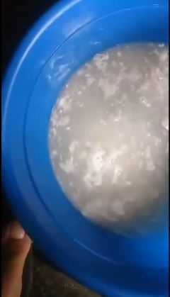 Tanpa perlu dicuci, ini trik ampuh menghilangkan kutu kasur cuma tambah 2 bahan dapur