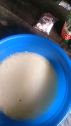 Tanpa perlu dicuci, ini trik ampuh menghilangkan kutu kasur cuma tambah 2 bahan dapur