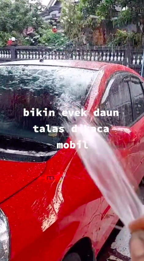 Bukan digosok sabun, ini cara hilangkan jamur di kaca mobil agar kinclong pakai 1 jenis sayuran