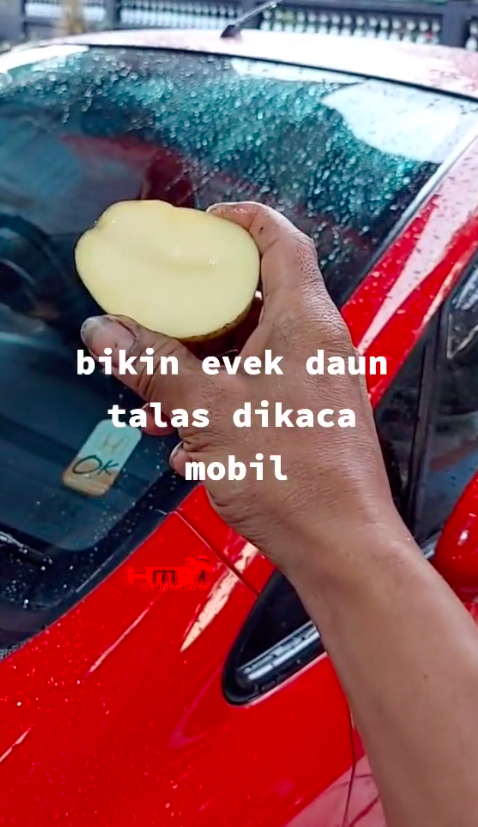 Bukan digosok sabun, ini cara hilangkan jamur di kaca mobil agar kinclong pakai 1 jenis sayuran