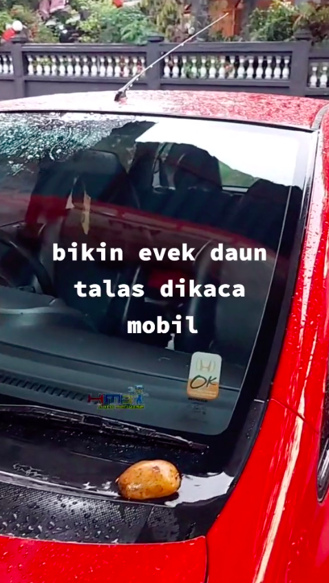 Bukan digosok sabun, ini cara hilangkan jamur di kaca mobil agar kinclong pakai 1 jenis sayuran