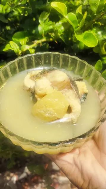 13 Resep ikan gabus tanpa santan ala rumahan, enak, segar, dan bikin nagih