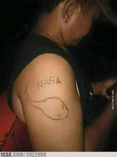 tato gagal udah terlanjur berbagai sumber