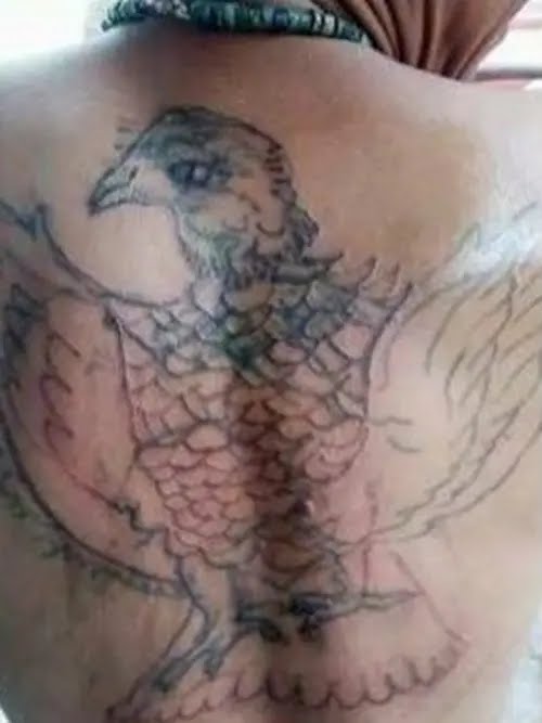 tato gagal udah terlanjur berbagai sumber