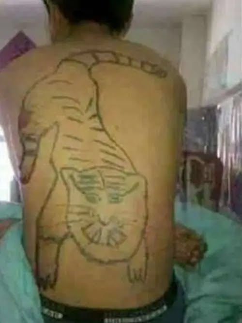 tato gagal udah terlanjur berbagai sumber