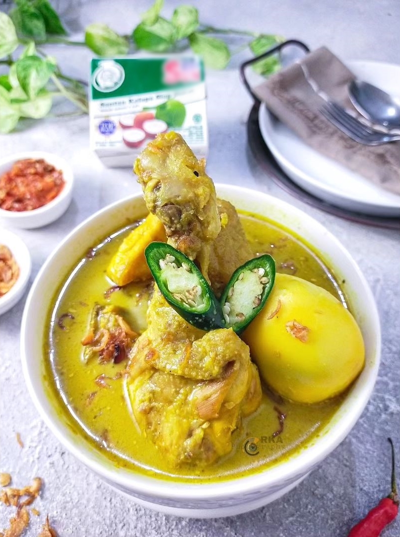 13 Resep olahan ayam kuah santan, gurih, praktis, dan bikin nagih