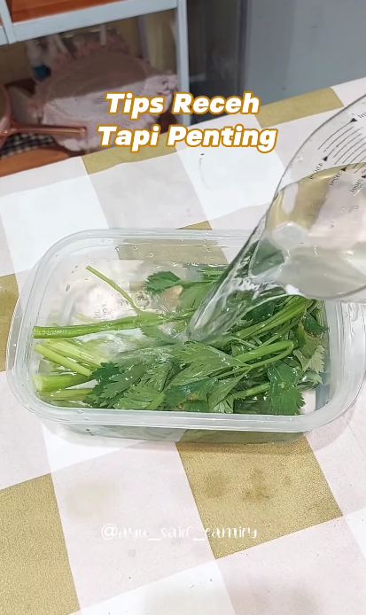 Tanpa dibekukan, ini trik menyimpan seledri agar tetap wangi dan tak layu hingga 1 bulan