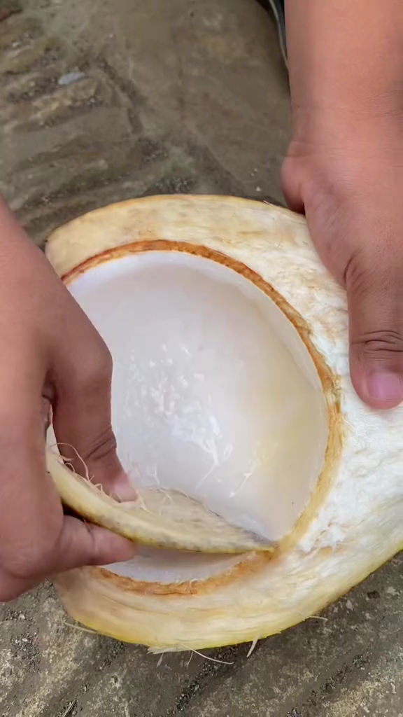 Aksi bapak-bapak tunjukkan fungsi lain sabut kelapa ini bukti cerdik saat kepepet, idenya boleh juga