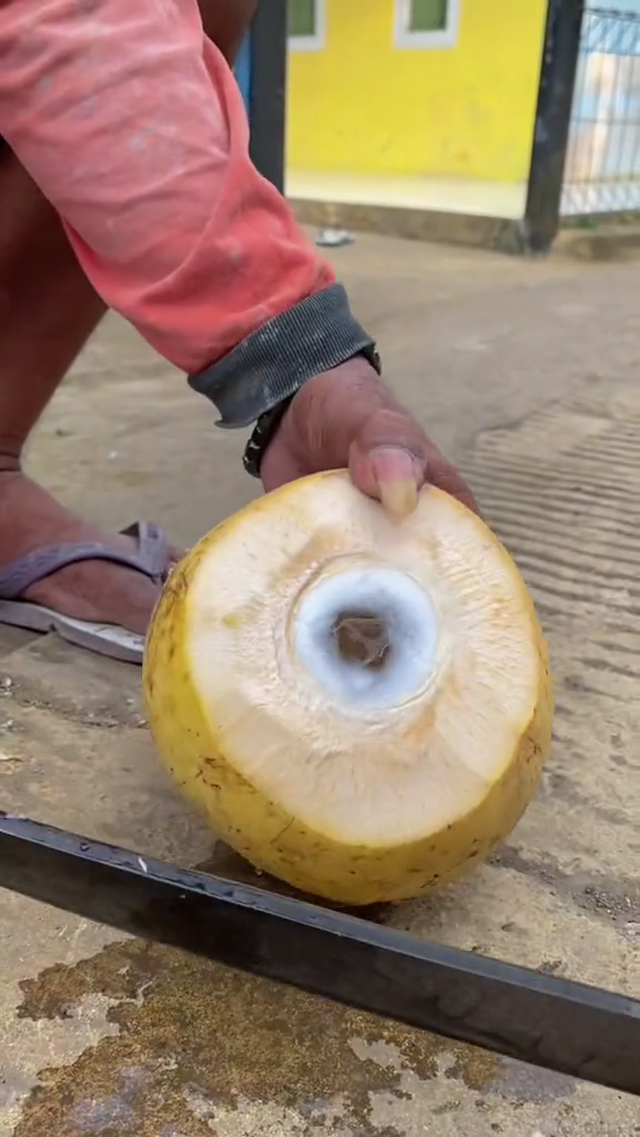 Aksi bapak-bapak tunjukkan fungsi lain sabut kelapa ini bukti cerdik saat kepepet, idenya boleh juga