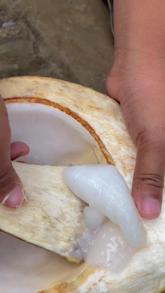 Aksi bapak-bapak tunjukkan fungsi lain sabut kelapa ini bukti cerdik saat kepepet, idenya boleh juga