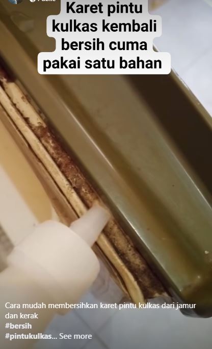 Bukan digosok sabun dan pasta gigi, ini trik basmi jamur di karet pintu kulkas andalkan 1 bahan dapur