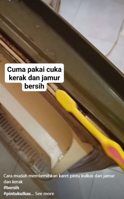 Bukan digosok sabun dan pasta gigi, ini trik basmi jamur di karet pintu kulkas andalkan 1 bahan dapur