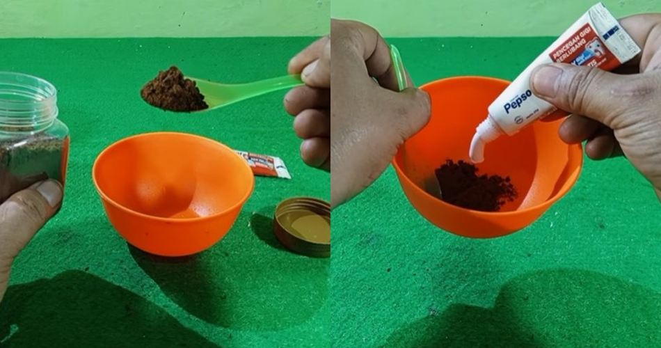 Tanpa meletakkan kapur barus, ini cara ampuh mengusir tikus cuma andalkan 2 bahan dapur