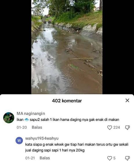 Jawaban warganet di kolom komentar Instagram Instagram
