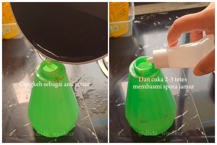 Bukan digosok sitrun, ini cara hilangkan jamur di dinding kamar mandi pakai tambahan 2 bahan dapur