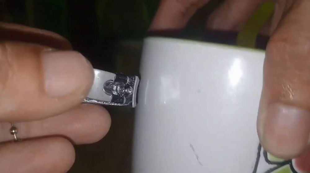 Cukup pakai 1 alat dapur, trik menajamkan gunting kuku tumpul ini praktis tanpa dibongkar dulu