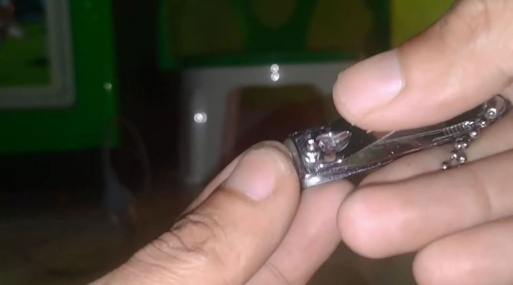 Cukup pakai 1 alat dapur, trik menajamkan gunting kuku tumpul ini praktis tanpa dibongkar dulu