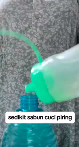 Tanpa digosok, ini cara cepat bersihkan kerak dan lumut di pintu kayu cuma tambah 1 bahan dapur