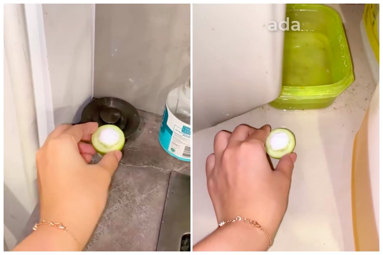 Tanpa semprotkan racun, ini trik ampuh mengusir kecoak cuma pakai 2 bahan dapur
