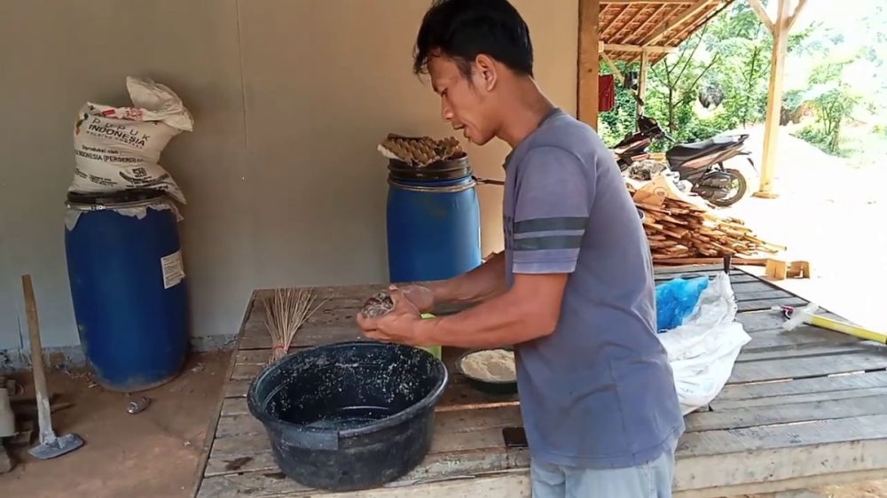 Bukan pakai rumput, ini cara meningkatkan nafsu makan kambing agar cepat gemuk dengan 1 bumbu dapur