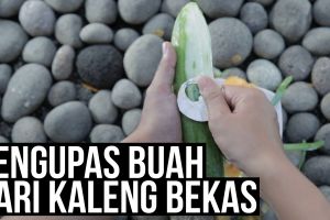 Begini cara mudah kupas buah pakai kaleng bekas