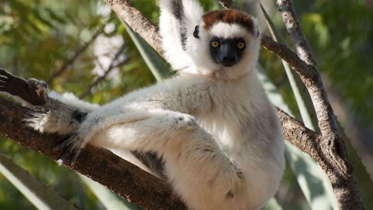 BBC's 'Planet Earth 2' Set To Take Your Breath Away