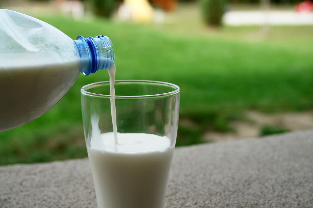 5 Manfaat Minum Susu Untuk Tubuh Orang Dewasa